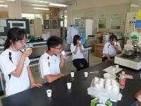 乾燥させた里山植物を、粉砕・焙煎などの処理を行い、注湯・煮出などの方法でお茶やコーヒーにして試飲する。